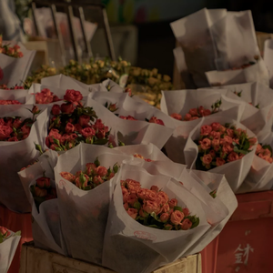 国产女人在线视频
